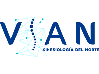 VIAN Kinesiología